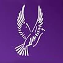 Image result for Weybridge Vandals Rugby Club