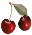 http://www.photos-culinaires.com/cerises-avec-queues-et-feuille-zFRU28.jpg