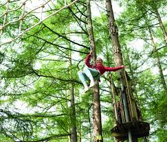 Image result for Go Ape! Thetford