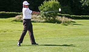 Image result for Hartlepool Gc