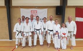 Image result for Plymouth Karate Club Kyokai