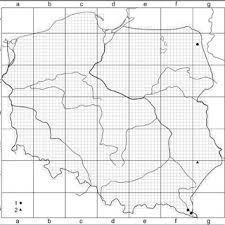 Attēlu rezultāti vaicājumam “Campylophyllum sommerfeltii”