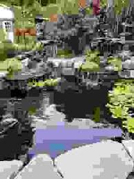 Image result for City of Preston Aquatics