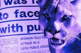 Image result for Pentland Panthers