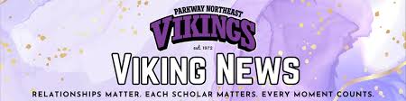 Image result for North East Vikings