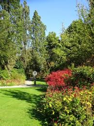 Image result for Arboretum Trompenburg