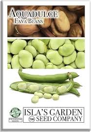 Attēlu rezultāti vaicājumam “Vicia faba”