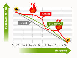Image result for burnup chart