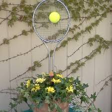 Image result for Starbeck Tennis Club