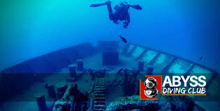 Image result for Abyss Dive Club