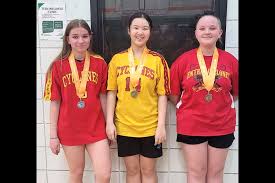 Image result for Broadmeadow Junior Badminton Club