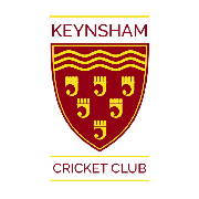 Image result for Shirehampton Cricket Club