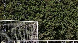 Image result for Oxted & District Junior Fc