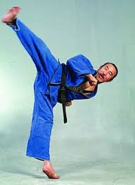 Image result for Total Body Defence Goshinkwai