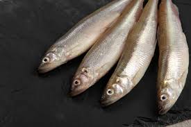 Image result for Osmerus eperlanus