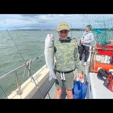 Image result for Bristol Channel Sea Fishing