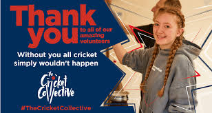 Image result for Bere Regis Cricket Club