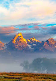 Image result for Old Coulsdon Bowling Club Ltd