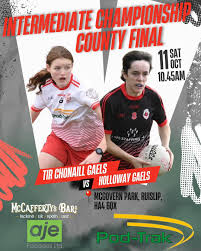 Image result for Tir Chonaill Gaels G A A Club