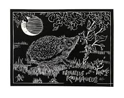 Attēlu rezultāti vaicājumam “Erinaceus roumanicus”