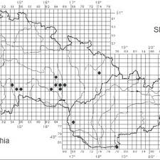 Attēlu rezultāti vaicājumam “Craspedosoma rawlinsi”