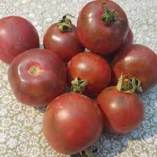 Afbeeldingsresultaat voor caspian pink tomato