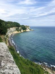 Image result for stevns klint