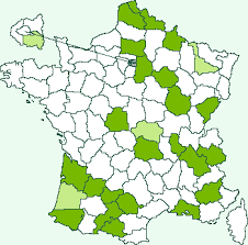 Attēlu rezultāti vaicājumam “Sciota adelphella”