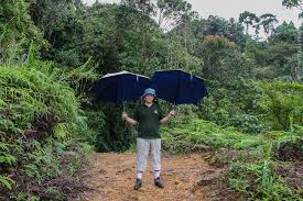 Image result for синхараджа