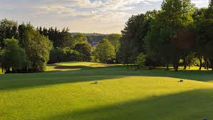 Image result for Whitchurch Badminton Club