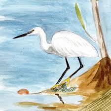Image result for Egretta garzetta
