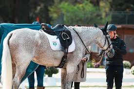 Image result for Towneley Rossendale Badminton Club