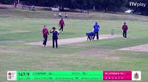 Image result for Harpenden Cricket Club