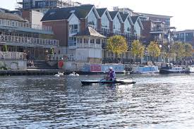 Image result for Royal Canoe Club