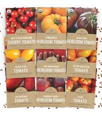 Afbeeldingsresultaat voor kosmonaut volkov 68D tomato