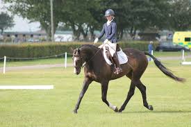 Image result for Elstead Riding Club