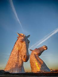 Image result for Scottish Equi Complex