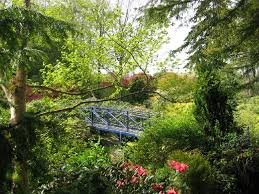 Image result for Seafield Bowling Club Seafield Bowling Club