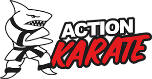 Image result for Action Karate