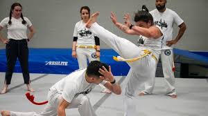 Image result for Capoeira Classes