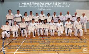Image result for Ynys Mon Shukokai Karate Club, North Wales