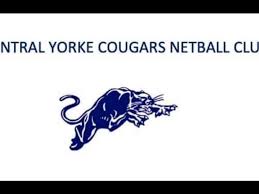 Image result for York University Netball Club