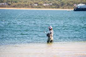 Image result for Segdoune Flyfishers` Angling Club