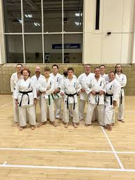 Image result for Seiki Juku Karate Club