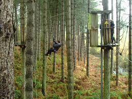 Image result for The Go Ape Experience (Delamere Forest)