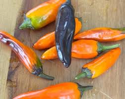 Afbeeldingsresultaat voor thai yellow hot pepper