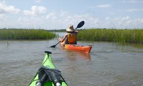 Image result for Paddletastic