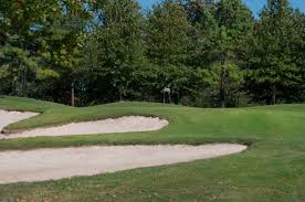 Image result for Blossom Way Sports & Social Club