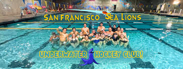 Image result for Southsea Junior Octopush Club