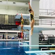 Image result for 243 Diving Club